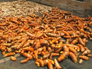 turmeric roots